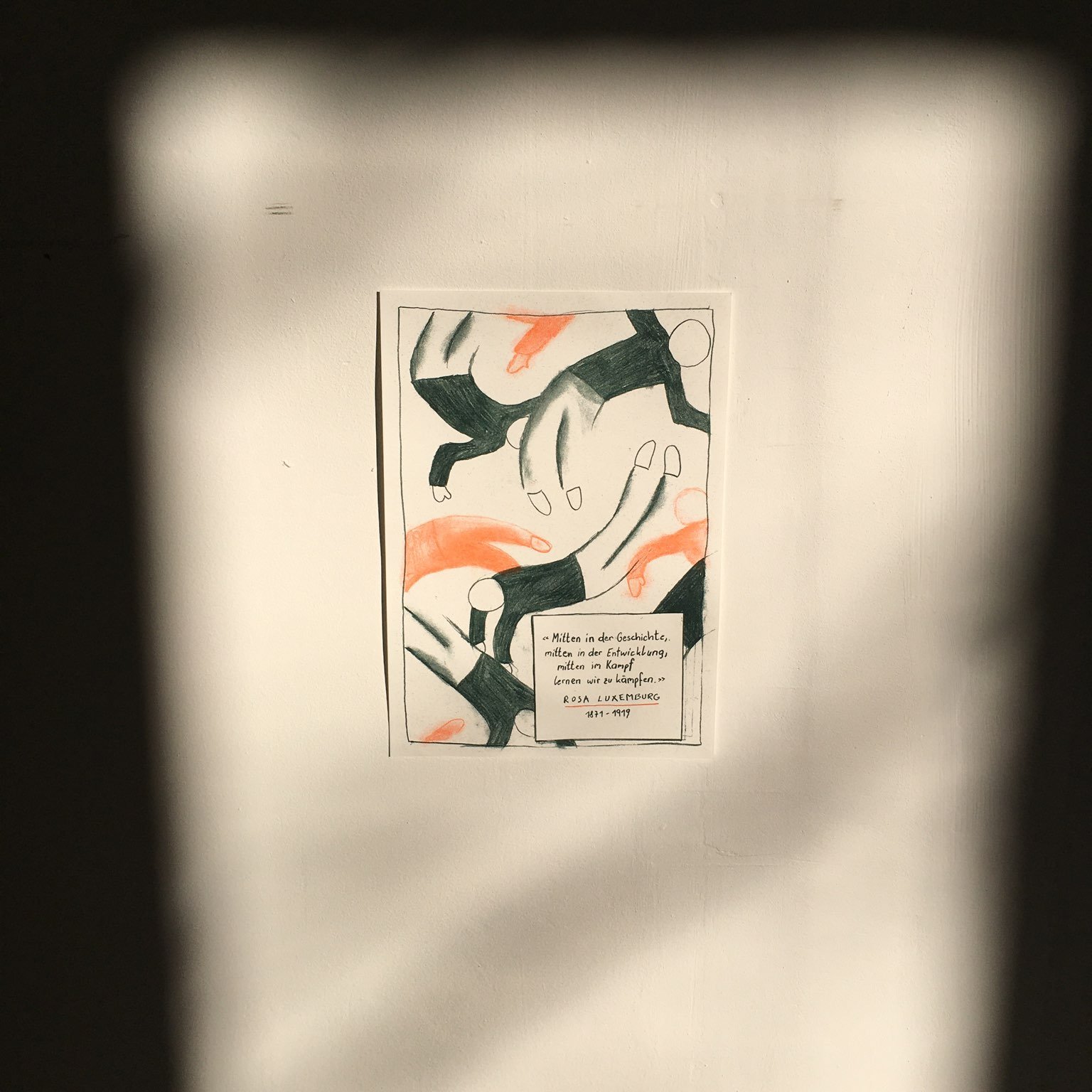 #RosaLux150